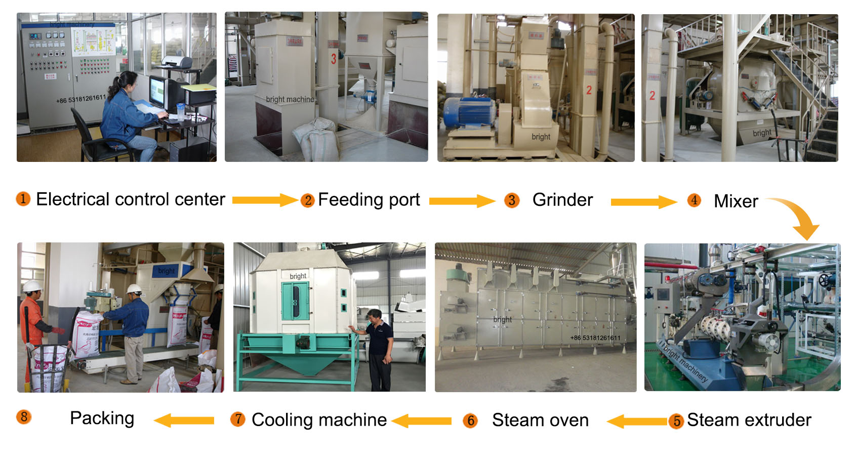 feed fish machine feed fish machine