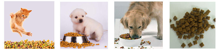 dog food expands dog food expands